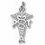 Pt Assistant charm in 14K White Gold hide-image