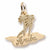 Aruba charm in Yellow Gold Plated hide-image