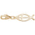 Ichthus Charm in Yellow Gold Plated