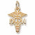 Dental Hygienist charm in Yellow Gold Plated hide-image