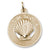 Nova Scotia Shell charm in Yellow Gold Plated hide-image
