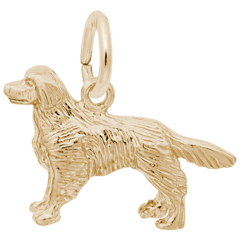 Golden Retriever Charm in Yellow Gold Plated