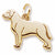 Labrador Retriever charm in Yellow Gold Plated hide-image
