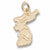 Korea Map charm in Yellow Gold Plated hide-image