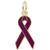 Relay For Life/Purple Charm in Yellow Gold Plated