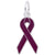 Relay For Life/Purple Charm In Sterling Silver