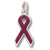 Relay For Life/Purple charm in Sterling Silver hide-image