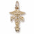 Psw Charm in 10k Yellow Gold hide-image