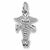 Psw charm in 14K White Gold hide-image