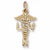 L.V.N. charm in Yellow Gold Plated hide-image