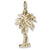 Palemetto 3d Charm  in 10k Yellow Gold hide-image