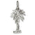 Palemetto 3D charm in Sterling Silver hide-image