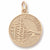 Colorado charm in Yellow Gold Plated hide-image