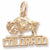 Colorado charm in Yellow Gold Plated hide-image