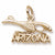 Arizona Road Runner charm in Yellow Gold Plated hide-image
