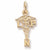 Licensed Practical Nurse charm in Yellow Gold Plated hide-image