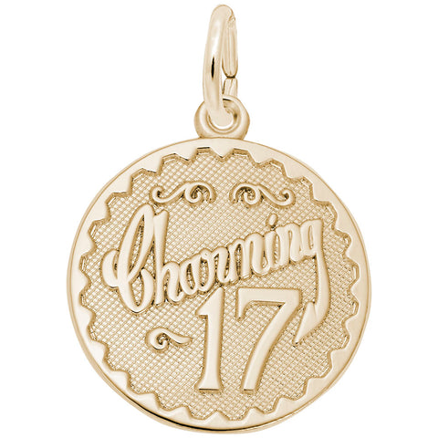 Charming 17 Charm in Yellow Gold Plated