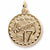 Charming 17 charm in Yellow Gold Plated hide-image