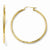 14k Yellow Gold Polihsed Hoop Earrings