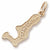 Grand Cayman Charm in 10k Yellow Gold hide-image