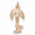 Hawaii Palm charm in Yellow Gold Plated hide-image
