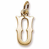 Initial U charm in Yellow Gold Plated hide-image