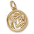 Aquarius charm in Yellow Gold Plated hide-image