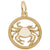 Cancer Charm in Yellow Gold Plated
