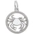 Cancer Charm In Sterling Silver