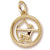 Sagittarius charm in Yellow Gold Plated hide-image