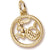 Capricorn charm in Yellow Gold Plated hide-image