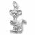 Gopher charm in Sterling Silver hide-image