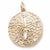 Sand Dollar Charm in 10k Yellow Gold hide-image