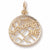 Pocono Mt charm in Yellow Gold Plated hide-image