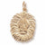 Lion charm in Yellow Gold Plated hide-image