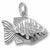 Angelfish charm in 14K White Gold hide-image