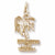 California Palm Charm in 10k Yellow Gold hide-image