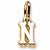 Initial N charm in 14K Yellow Gold