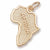 Africa charm in Yellow Gold Plated hide-image