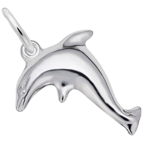 Dolphin Charm In 14K White Gold
