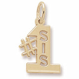 #1 Sis charm in Yellow Gold Plated hide-image