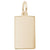 Dog Tag Charm in Yellow Gold Plated