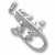 Iguana charm in Sterling Silver hide-image