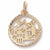 San Francisco charm in Yellow Gold Plated hide-image