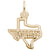 Dallas Charm In Yellow Gold