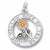 Yellow Rose Of Texas charm in 14K White Gold hide-image