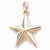 Star charm in Yellow Gold Plated hide-image