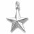 Star charm in Sterling Silver hide-image