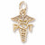 P T Charm in 10k Yellow Gold hide-image
