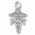P T charm in 14K White Gold hide-image